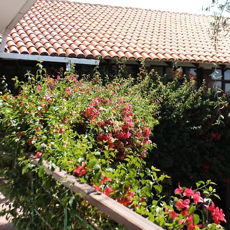 Hostal Viejo Olivo Sucre Exteriör bild